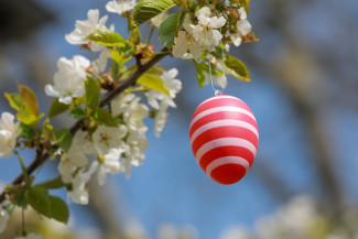 Buntes Osterei am Zweig
